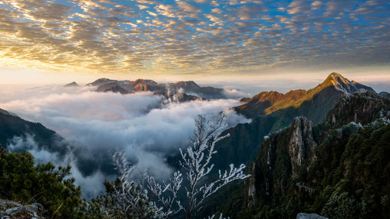 Sea of Clouds Sightseeing in Ji'an