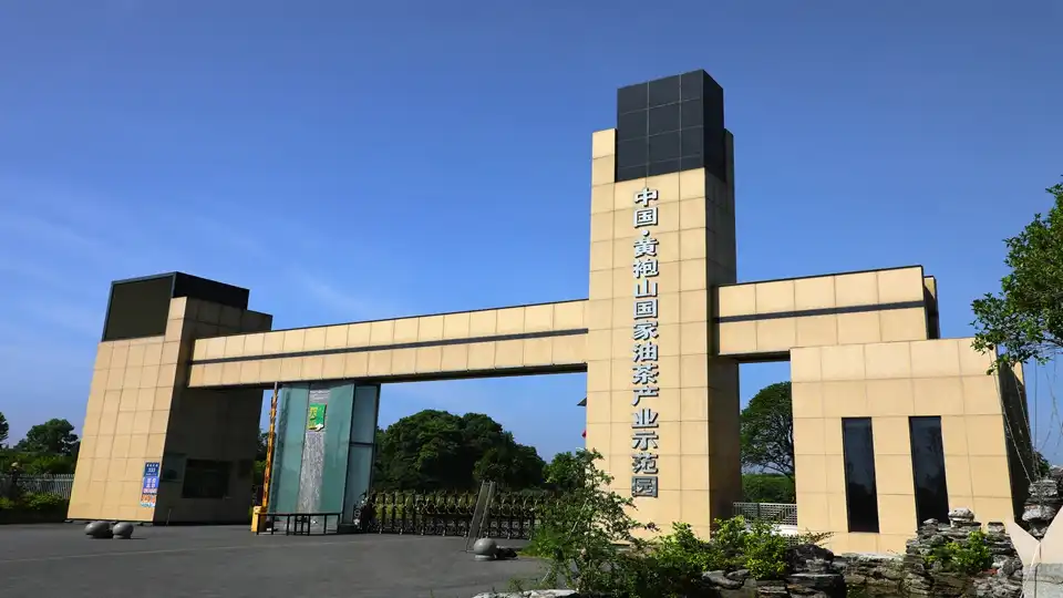 Hotels near China Huangpaoshan National Camellia Industry Demonstration Park