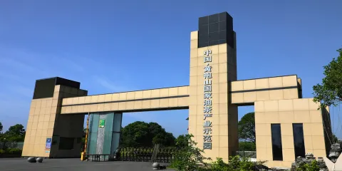 中國黃袍山國家油茶產業示範園
