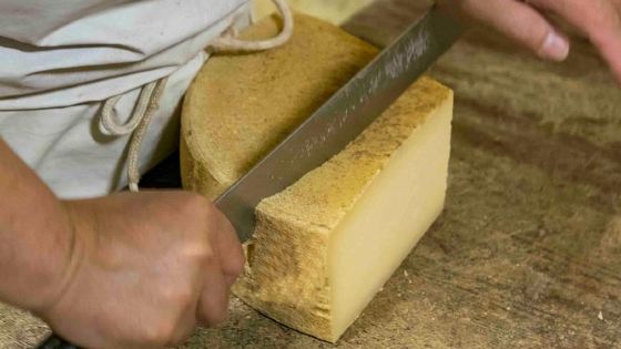 Tour in Normandy from Paris & meet a cheese producer. Lunch and tastings includ.