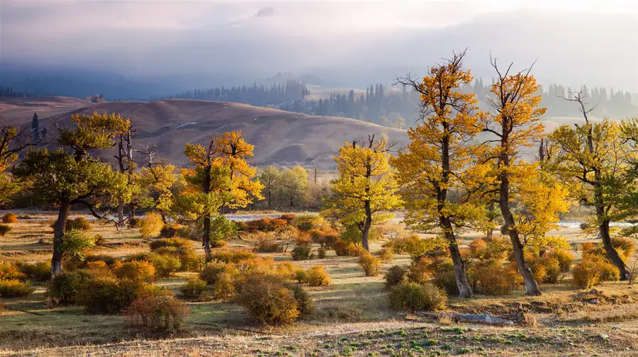 5_Nalati Scenic Area