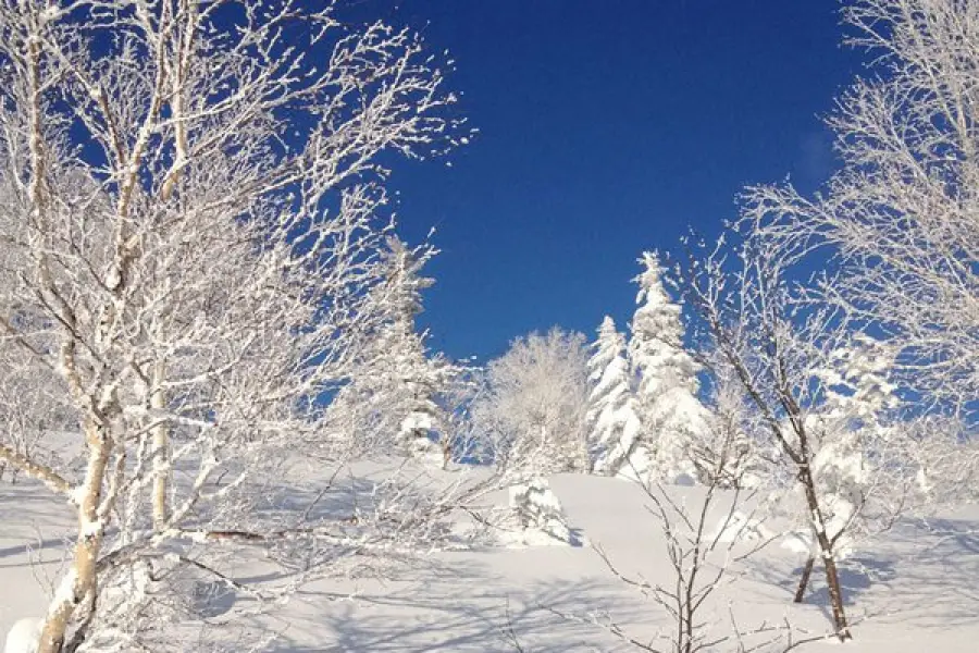 Moiwa札幌藻岩山滑雪場