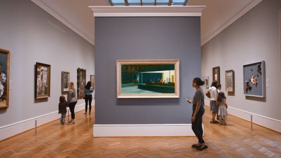 Musea bezoeken in Chicago