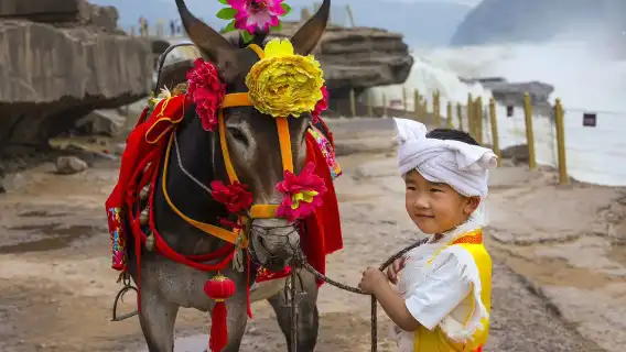 【頭等艙2+1-西安至景區來回接駁車】陜西黃河壺口瀑布一日遊