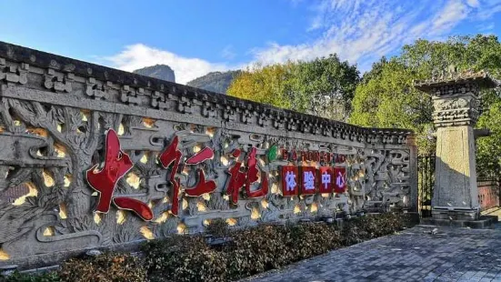 สวนแสดงชา Wuyi จีน