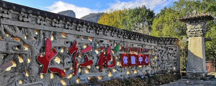 China Wuyi Tea Exhibition Garden
