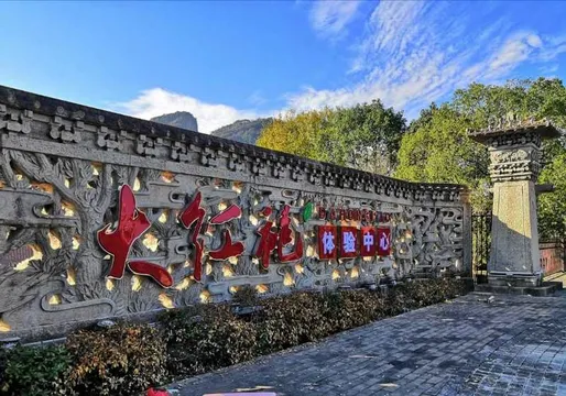 2_China Wuyi Tea Exhibition Garden