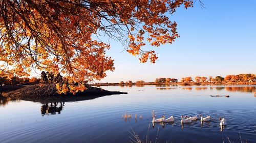 Heicheng Weak Water Huyang Scenic Area