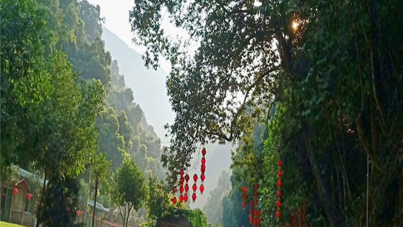 Anxi