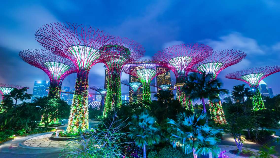 Gardens by the Bay Ticket (with Cloud Forest + Flower Dome)