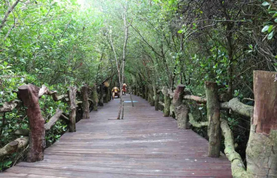 2人起私家團富力紅樹灣龍門激浪東坡書院一日遊海口文昌上門接送