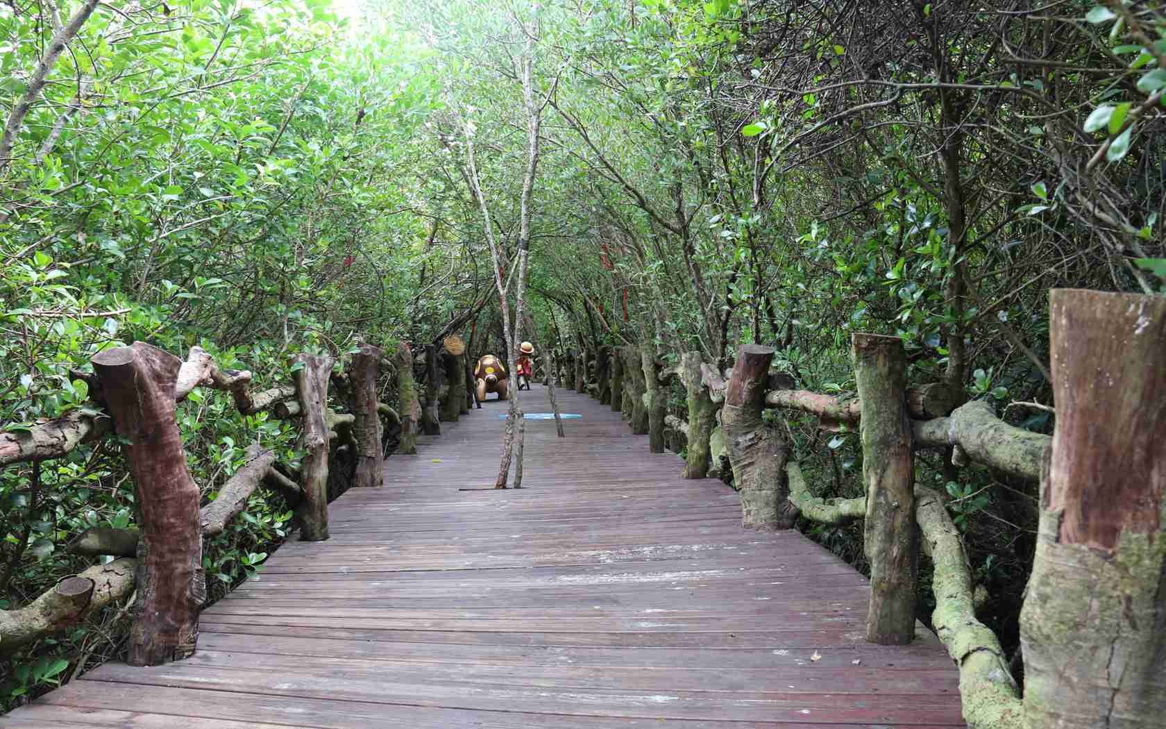 2人起私家團富力紅樹灣龍門激浪東坡書院一日遊海口文昌上門接送