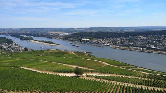 德國法蘭克福往萊茵峽谷呂德斯海姆威斯巴登一日遊10小時包車遊