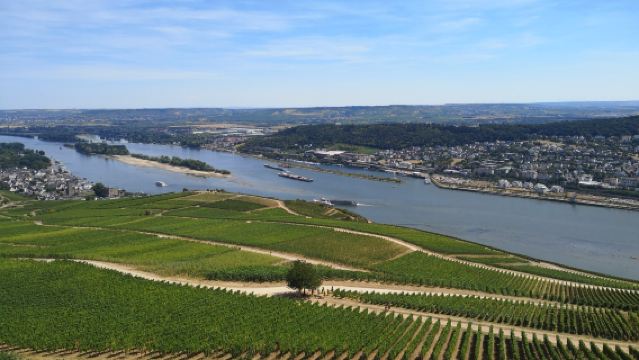 10-hour private chartered day tour from Frankfurt to Rhine Gorge, Rudesheim and Wiesbaden