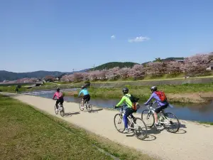 Cycle along the ancient canals of Kyoto: Kyoto Small Group Bike Tour