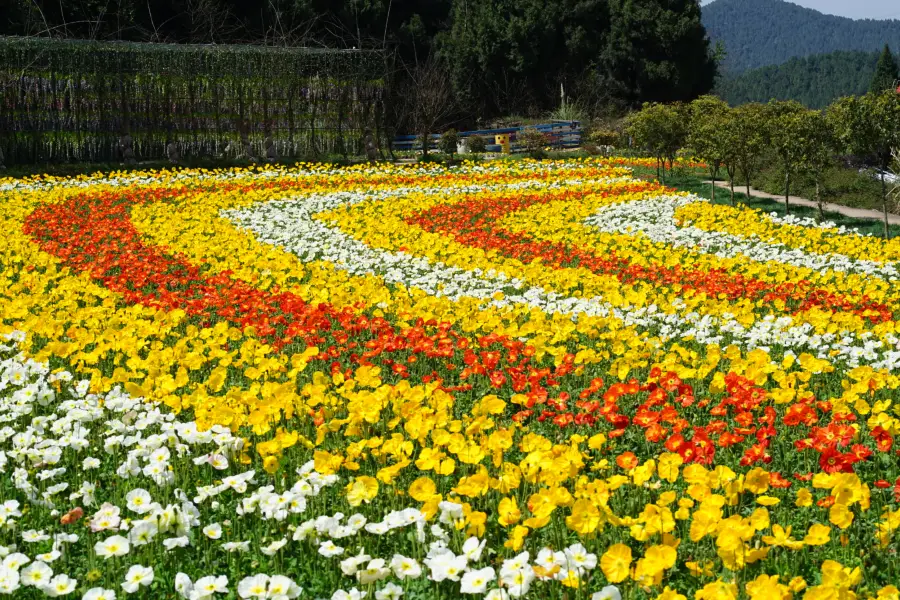 China Xiang Mountain·Shouxiang Valley