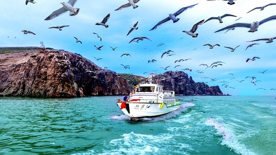 YantaiTours