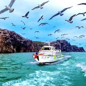海驢島