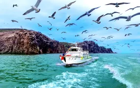 Hai Lv Dao