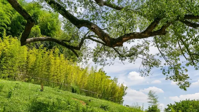 4_良渚古城遺址公園