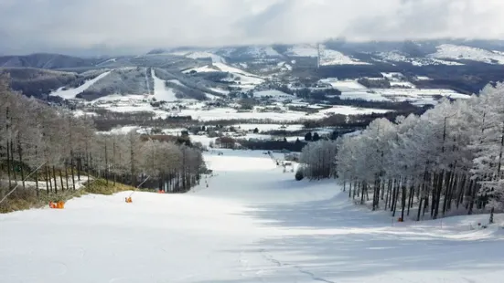 菅平高原滑雪場