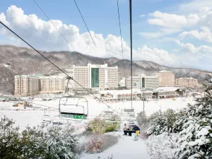 비발디파크