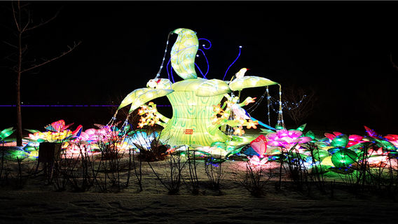 Kazuo Longyuan Tourist Area