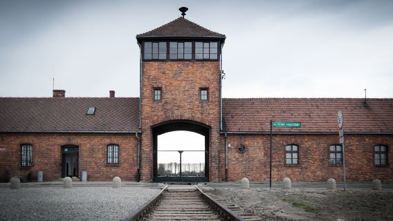 1-day tour to Memorial and Museum Auschwitz-Birkenau in Poland|Admission ticket with reservation + official English guide + hotel transfer