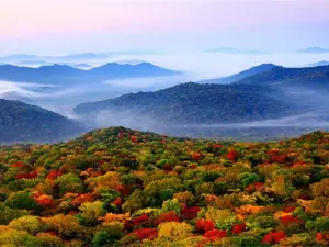 Jinlong Mountain National Forest Park
