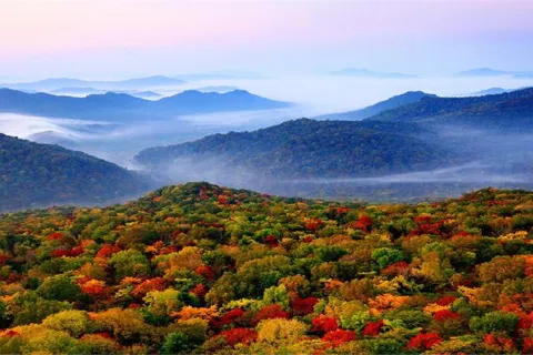 Jinlong Mountain National Forest Park