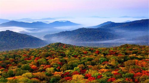 진룽산/금룡산 국립삼림공원