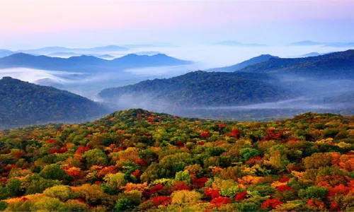 Jinlong Mountain National Forest Park