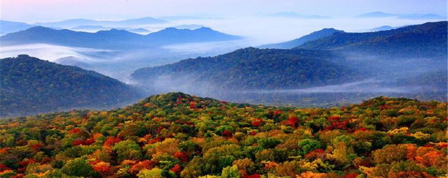 Jinlong Mountain National Forest Park