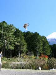 富士花鳥園