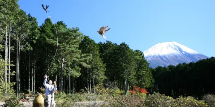 富士花鳥園