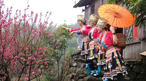 Tianma Mountain Ecotourism Resort