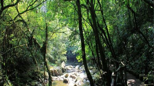 Longguiyuan Scenic Area