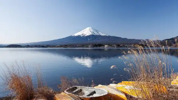 日本巴士票 東京至富士山站河口湖富士急來回巴士票
