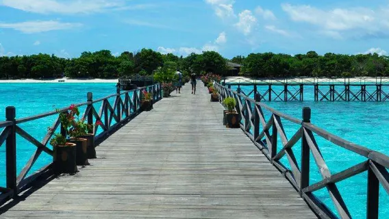 4월부터 6월까지 기간 한정 프로모션! 2000+롱주리조트+거북이번식장 직접감소는 믿을만합니다