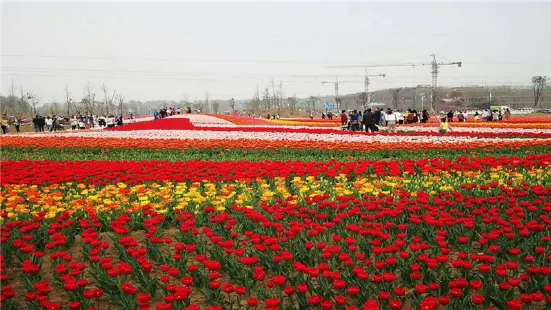 七彩大地花海樂園