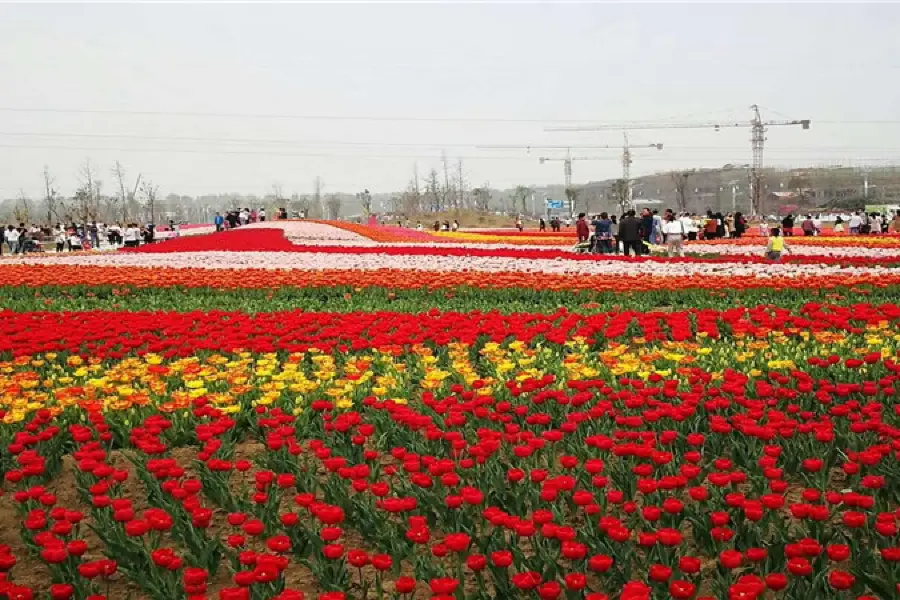 Qicai Dadi Huahai Amusement Park