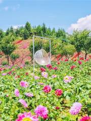 Flowers City In The Cloud