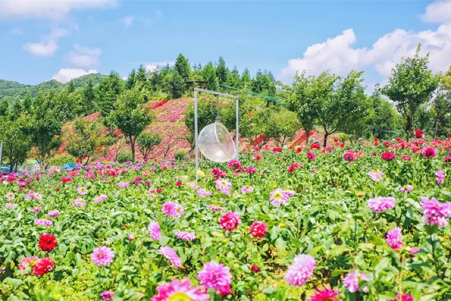 Flowers City In The Cloud