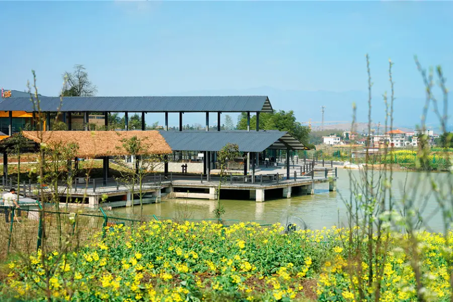 自駕友雲山露營公園