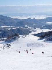 Manba Ski and Snowboard Resort