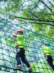 Yinshan Forest Crossing Adventure Park