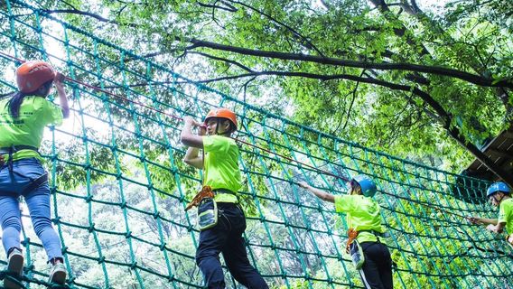 Yinshan Forest Crossing Adventure Park