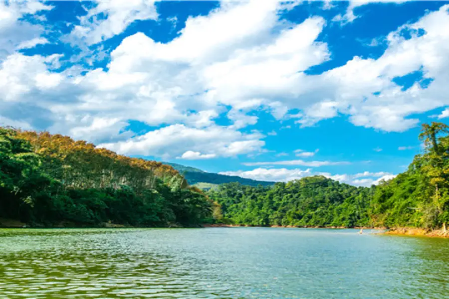 Xishuangbanna Wangtianshu Scenic Area