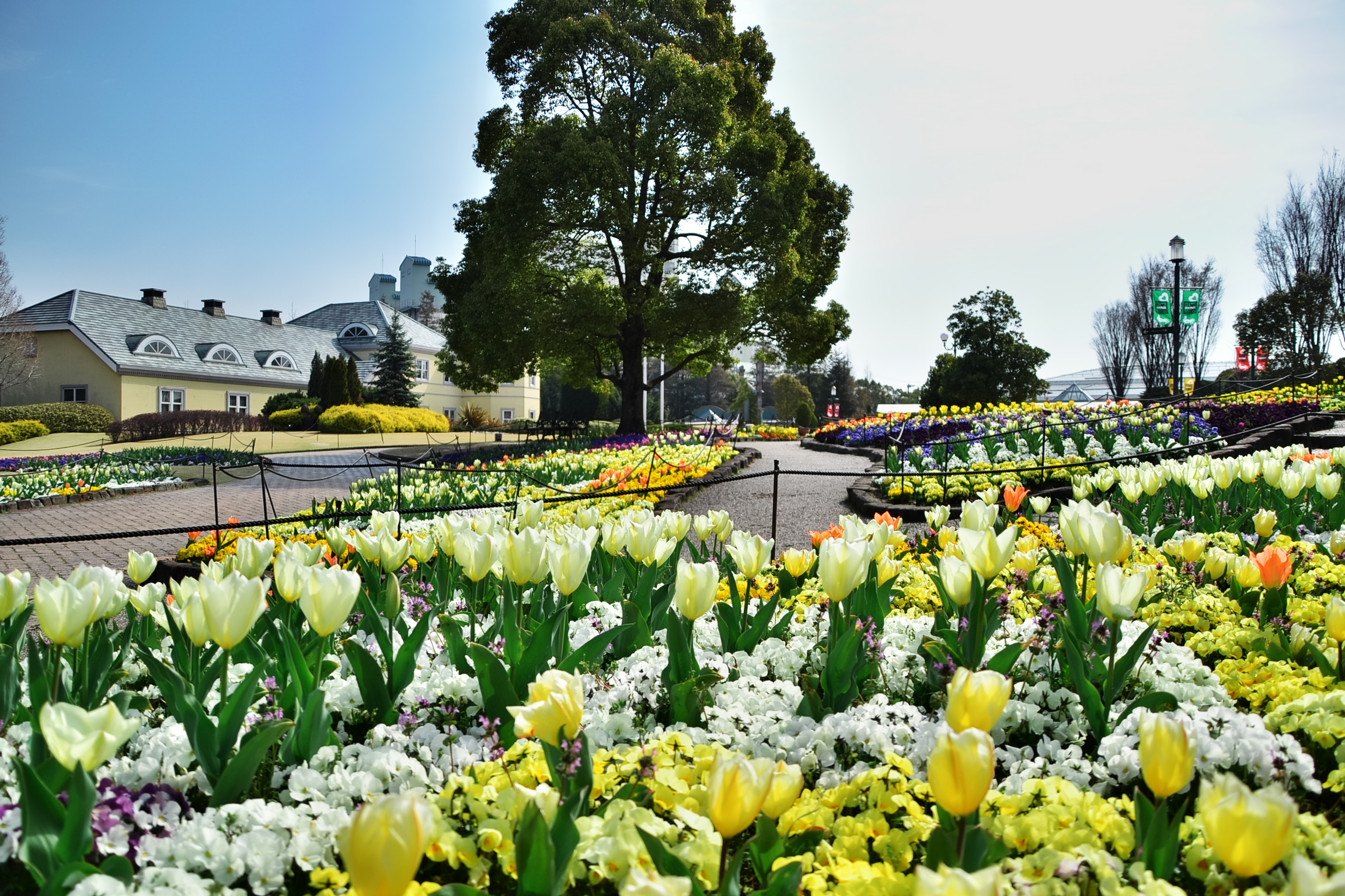 愛知 安城産業文化公園デンパーク Eチケット 予約