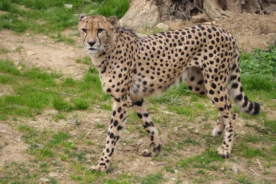 5_九十九島動植物園